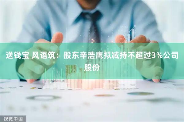 送钱宝 风语筑：股东辛浩鹰拟减持不超过3%公司股份